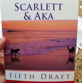 20180712 S&amp;A Cover